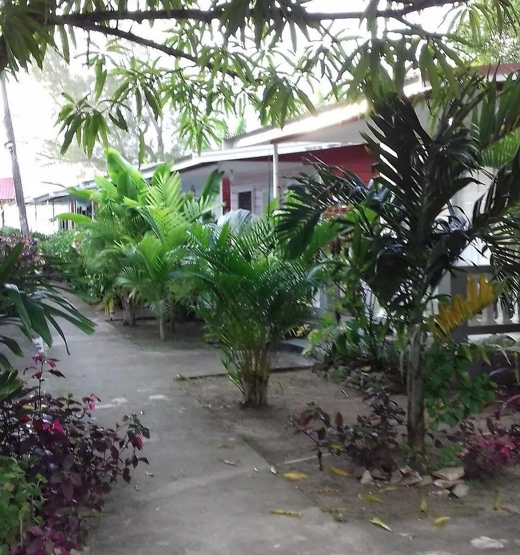 Roots Bamboo Beach Resort Negril Hotel