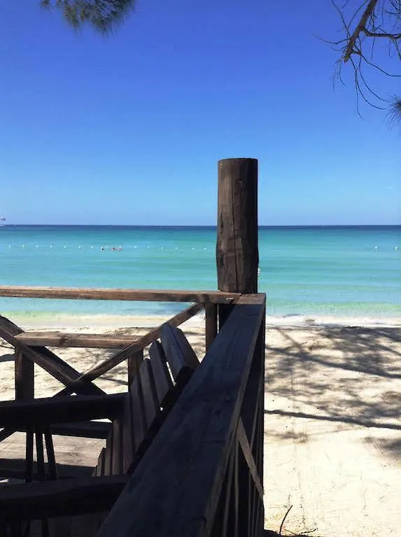 Roots Bamboo Beach Resort Negril Hotel